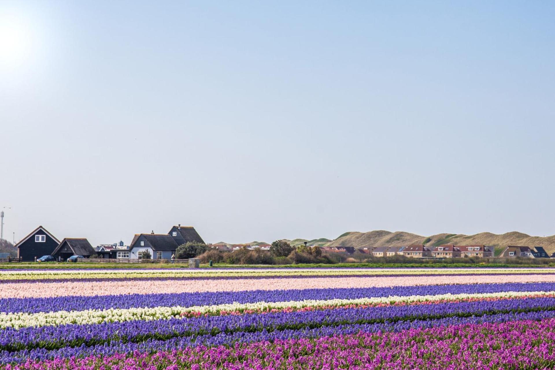 Vakantiehuis Nordseezauber - Callantsoog Aan Zee エクステリア 写真