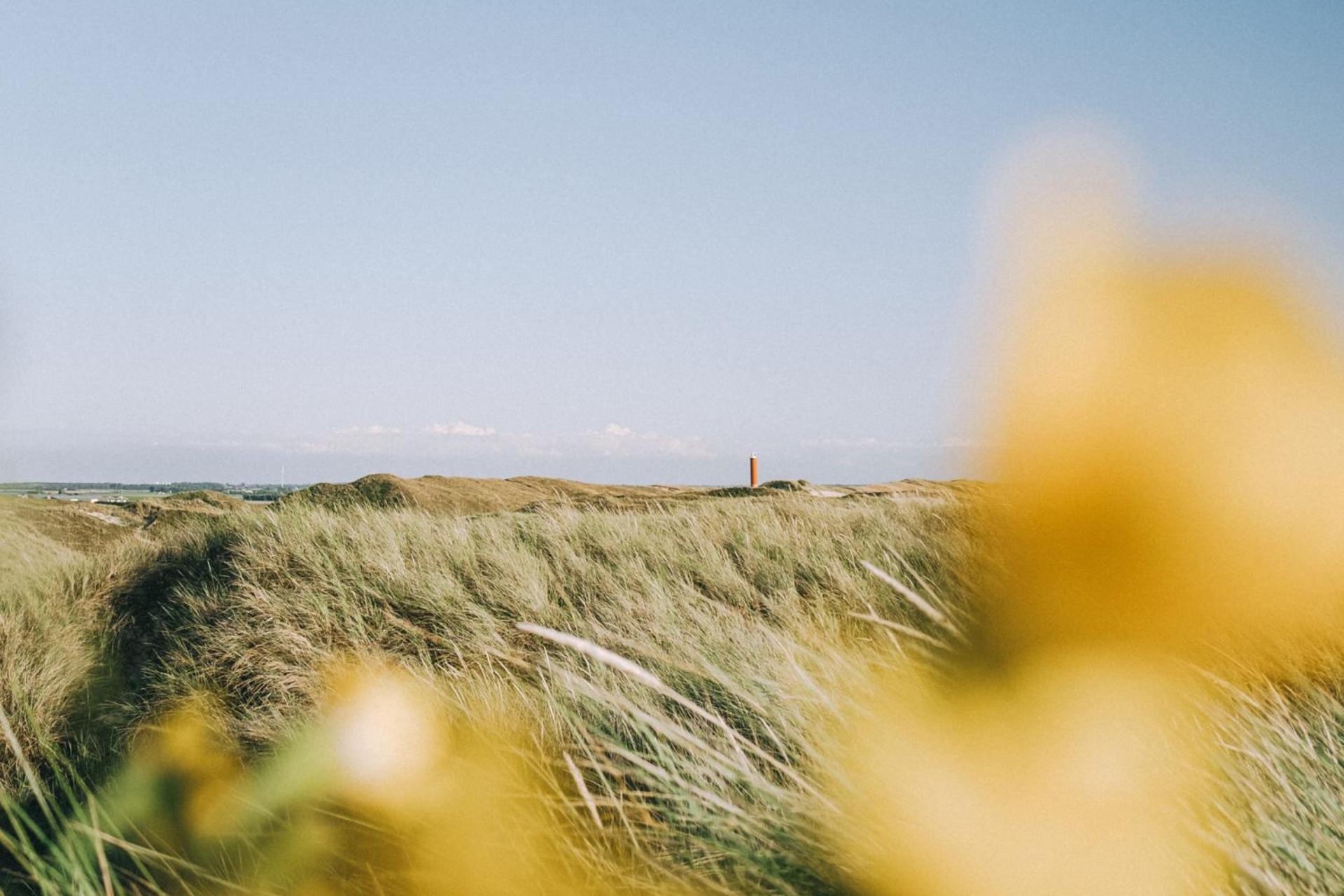Vakantiehuis Nordseezauber - Callantsoog Aan Zee エクステリア 写真